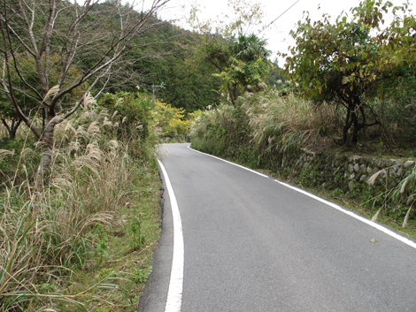 20141108hike (72)